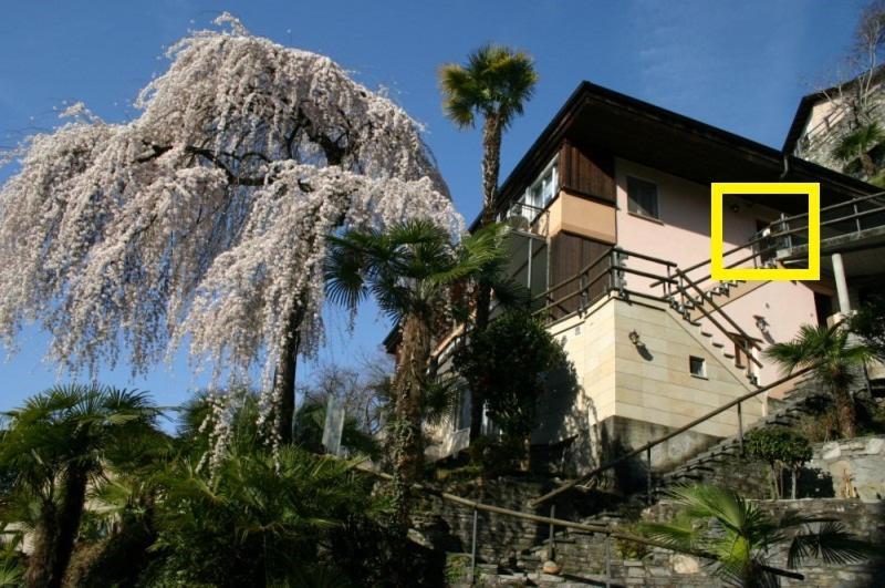 Casa Sibylle Bei Locarno Lejlighed Eksteriør billede